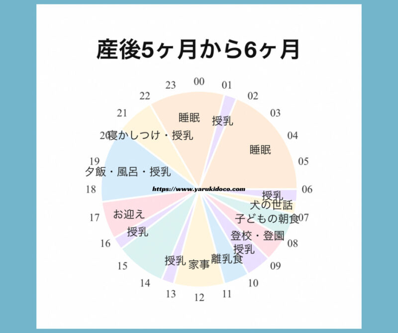 産後５か月から６か月までのタイムスケジュール